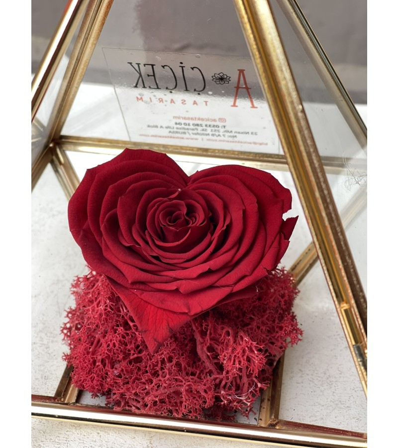 Gold Kenarlı Cam Prizma Fanusta Kırmızı Kalp Solmayan Gül