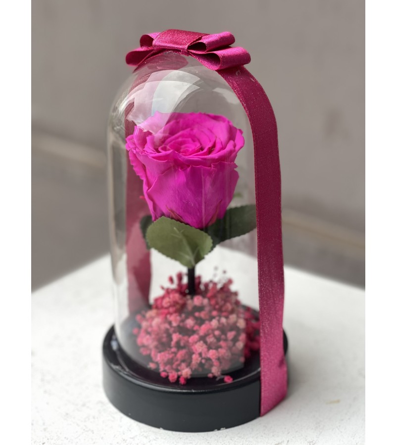 Fuşya Tekli Solmayan Gül