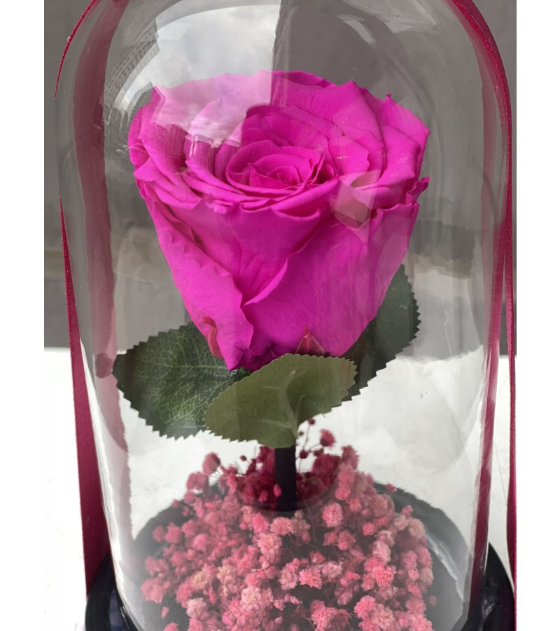 Fuşya Tekli Solmayan Gül