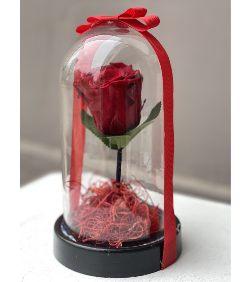 Kırmızı Tekli Solmayan Gül