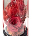Kırmızı Kuru Çiçekli Solmayan Gül Aranjmanı