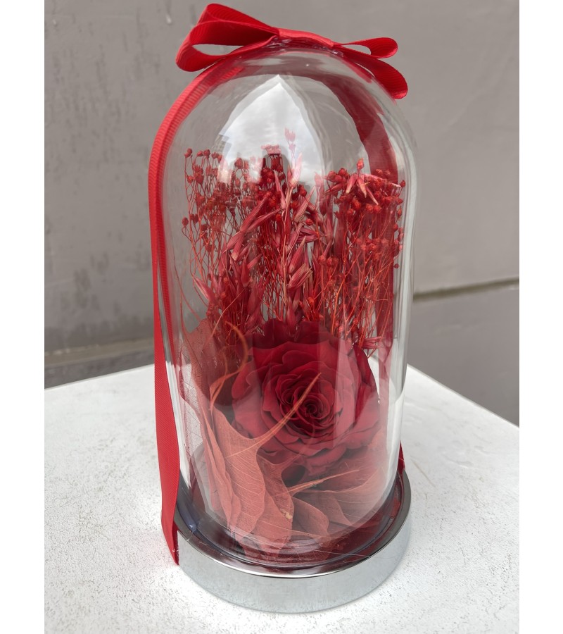 Kırmızı Kuru Çiçekli Solmayan Gül Aranjmanı