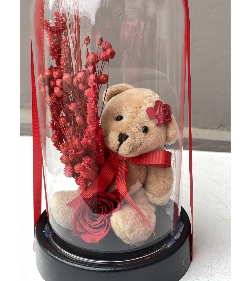 Ayıcıklı Kırmızı Solmayan Gül