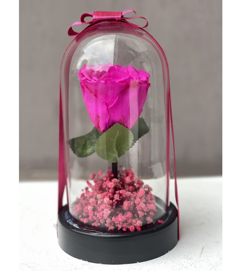 Fuşya Tekli Solmayan Gül