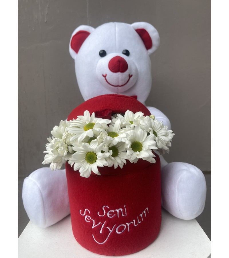 Seni Seviyorum Ayıcıklı Tek Gül Papatya